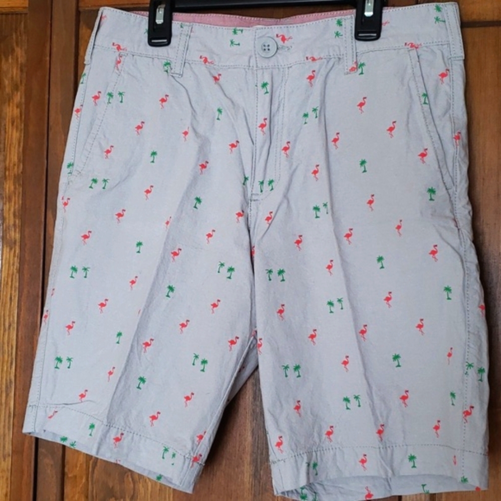 Retrofit Flamingo Palm Tree Shorts Sz 30